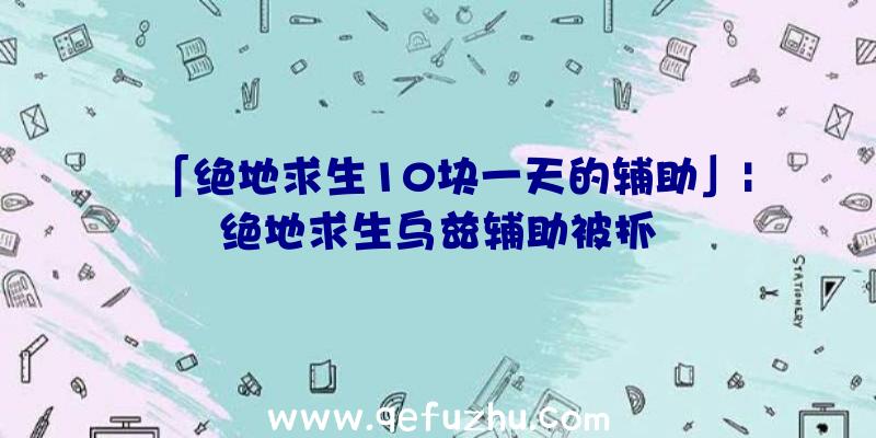 「绝地求生10块一天的辅助」|绝地求生乌兹辅助被抓